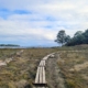 Pelham Bay Park